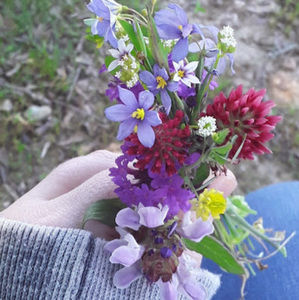 Meet your Posher, Kameron